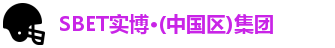 SBET实博